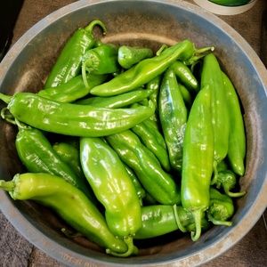 Meet your Posher, Maddy